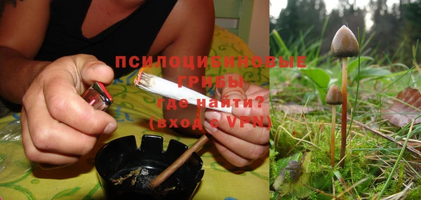 ECSTASY Магас