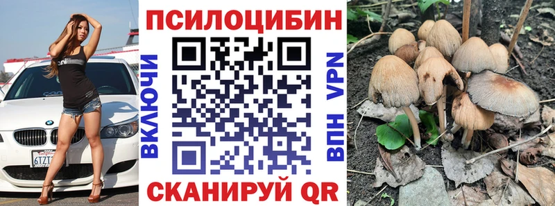ОМГ ОМГ рабочий сайт  закладки  Неман  Псилоцибиновые грибы Psilocybe 
